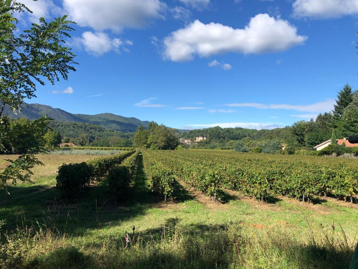 Terres De France - Le Domaine Des Vans Chambonas Esterno foto