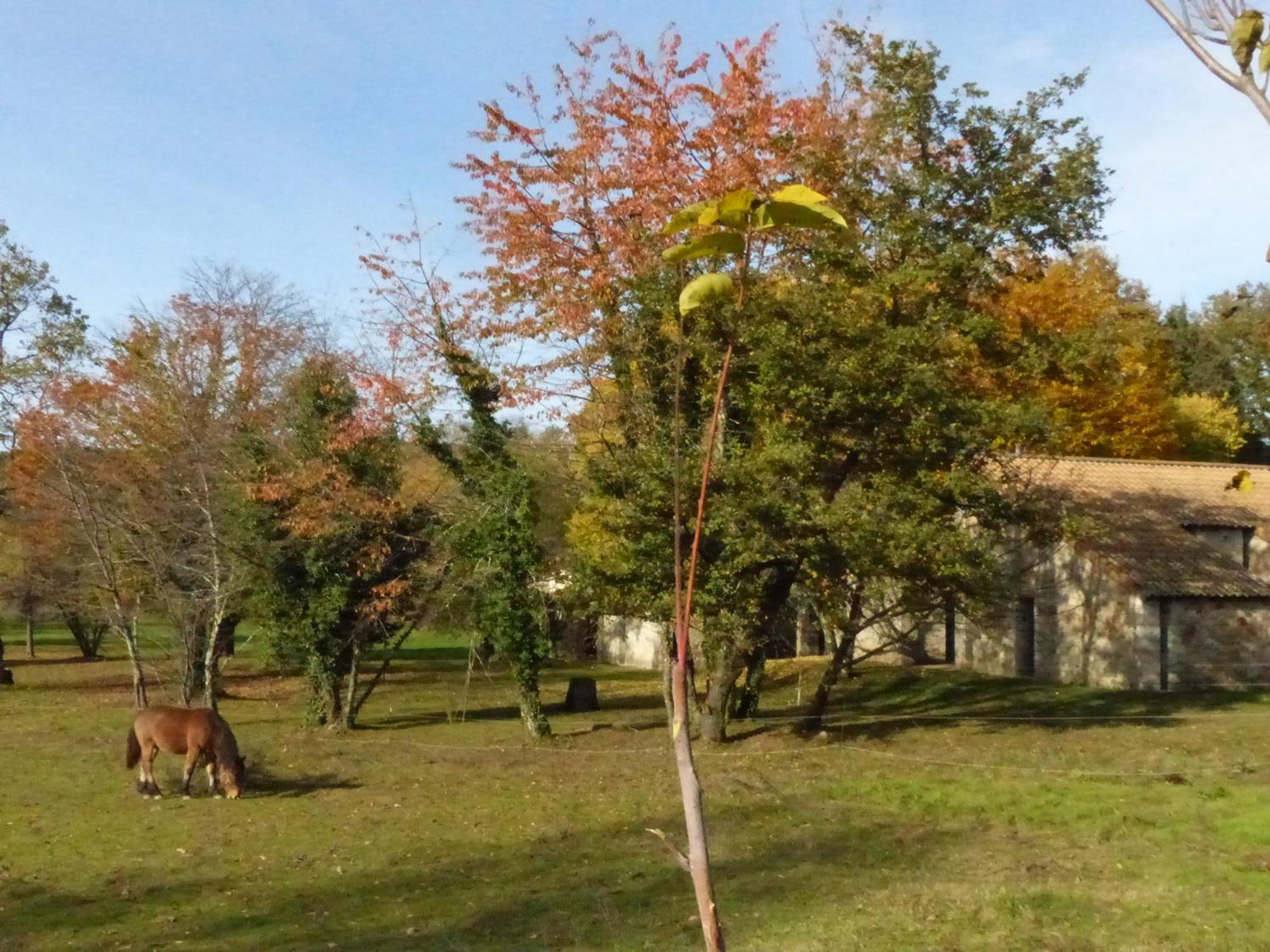 Terres De France - Le Domaine Des Vans Chambonas Esterno foto
