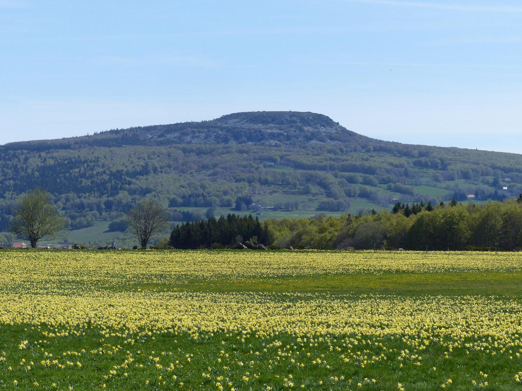 Terres De France - Le Domaine Des Vans Chambonas Esterno foto